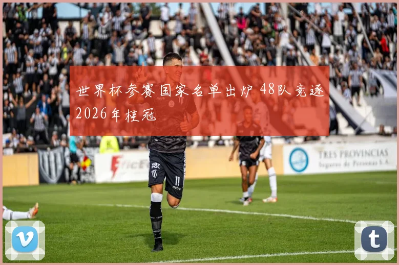 世界杯参赛国家名单出炉 48队竞逐2026年桂冠