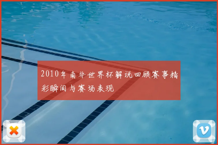 2010年南非世界杯解说回顾赛事精彩瞬间与赛场表现